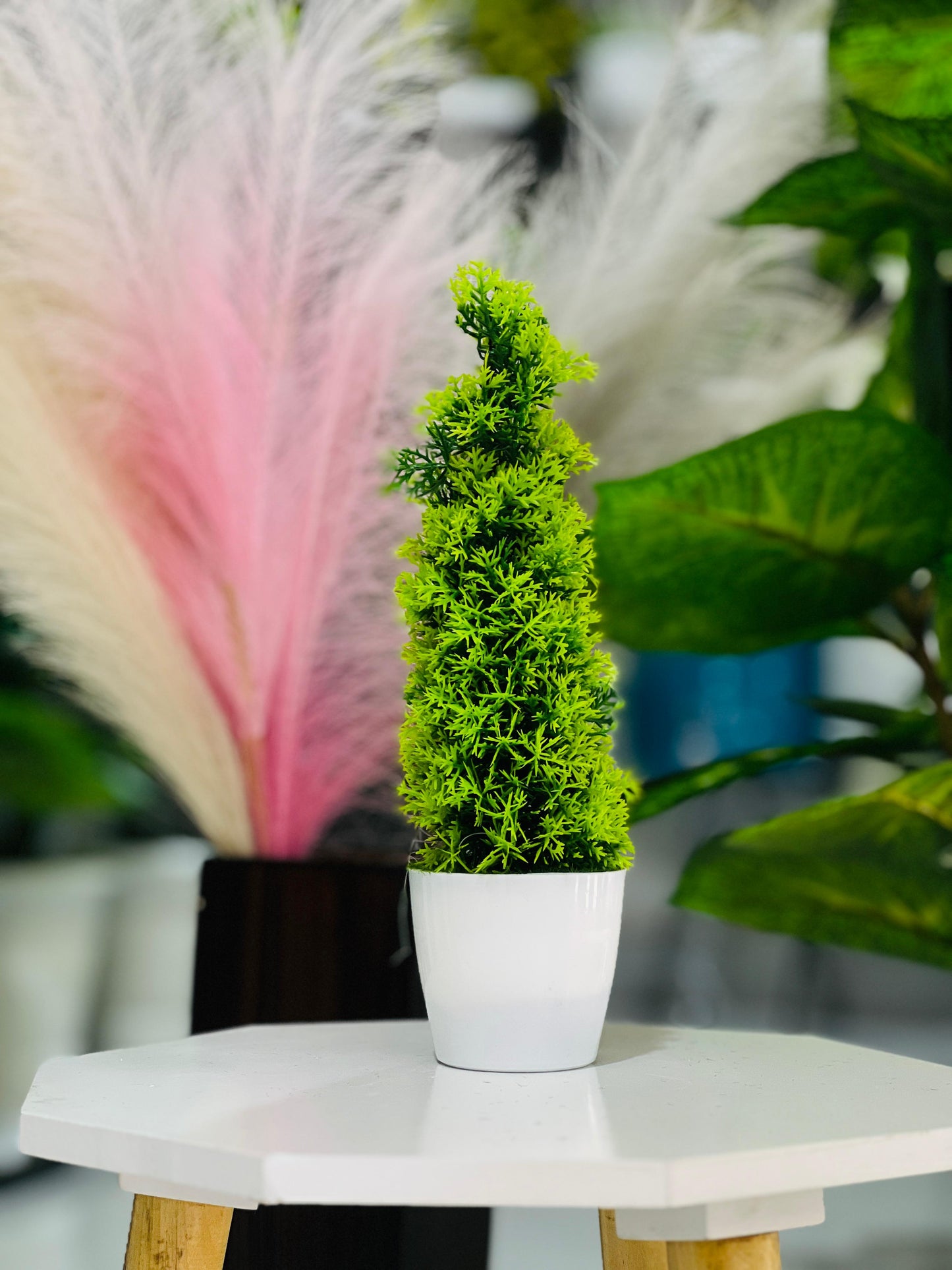 Green potted plant on a white table with blurred background