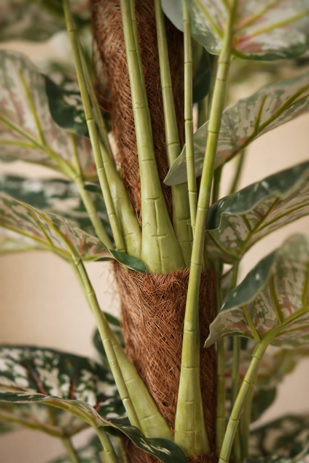 Artificial Money Plant 4 Feet