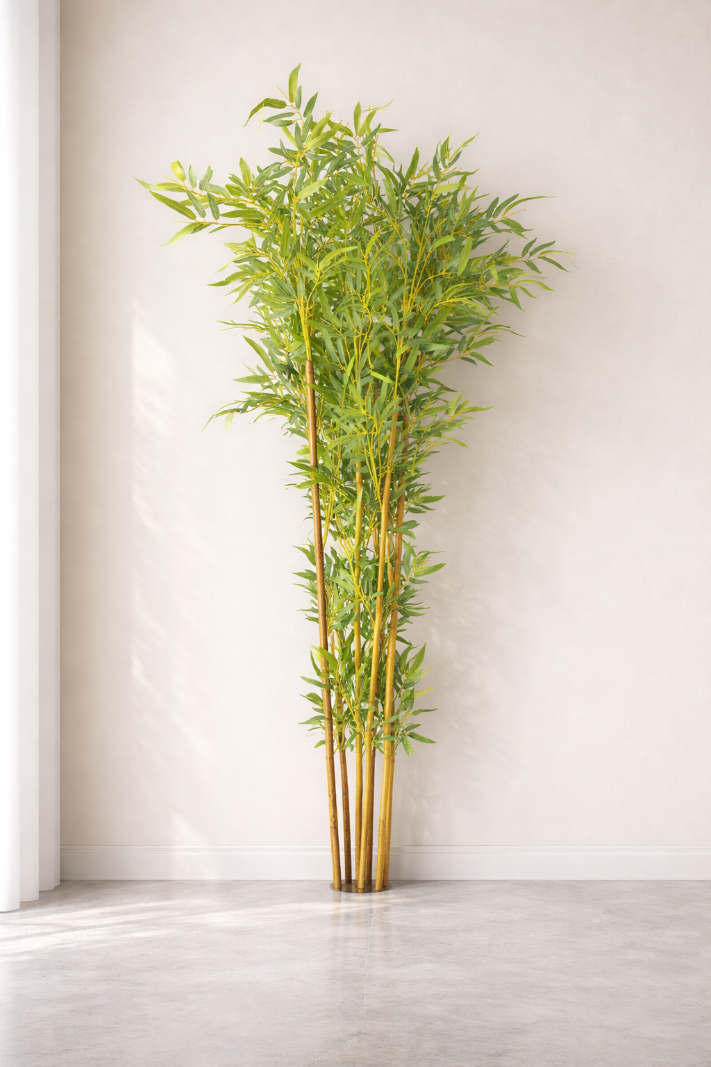 Bamboo plant against a plain wall