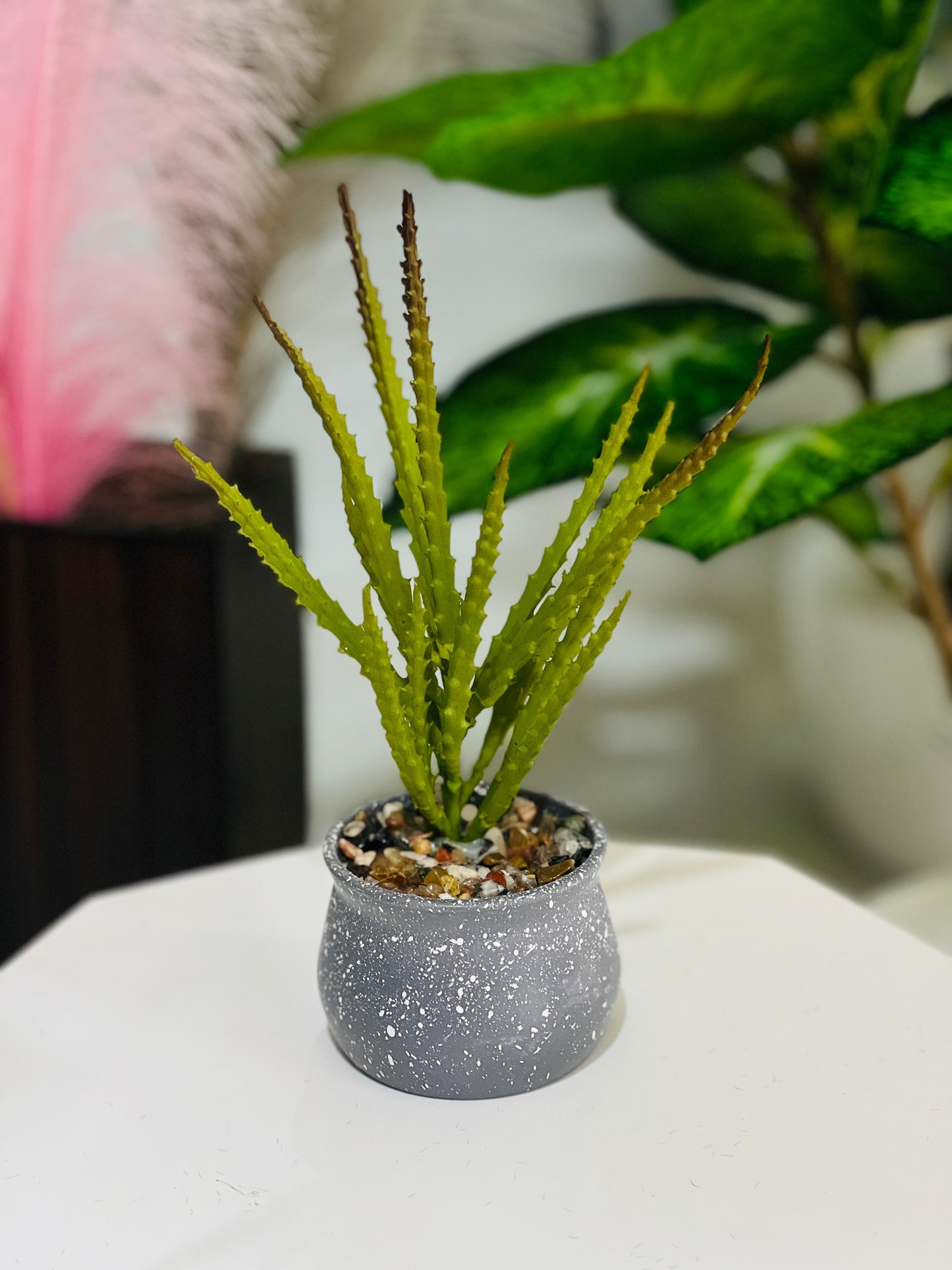 Small potted plant on a white surface with a blurred background