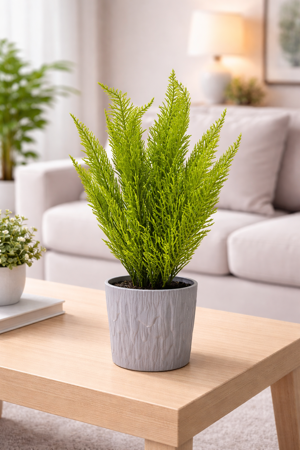 Potted fern on a wooden coffee table in a living room