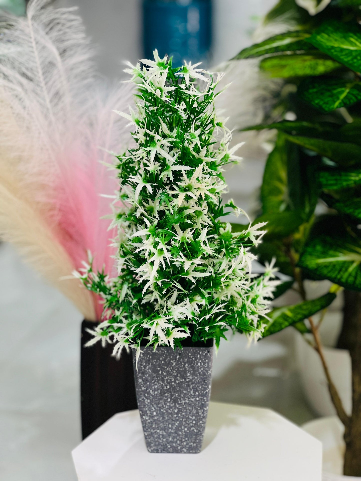 Potted plant with white flowers in a gray pot on a white surface, with a blurred background
