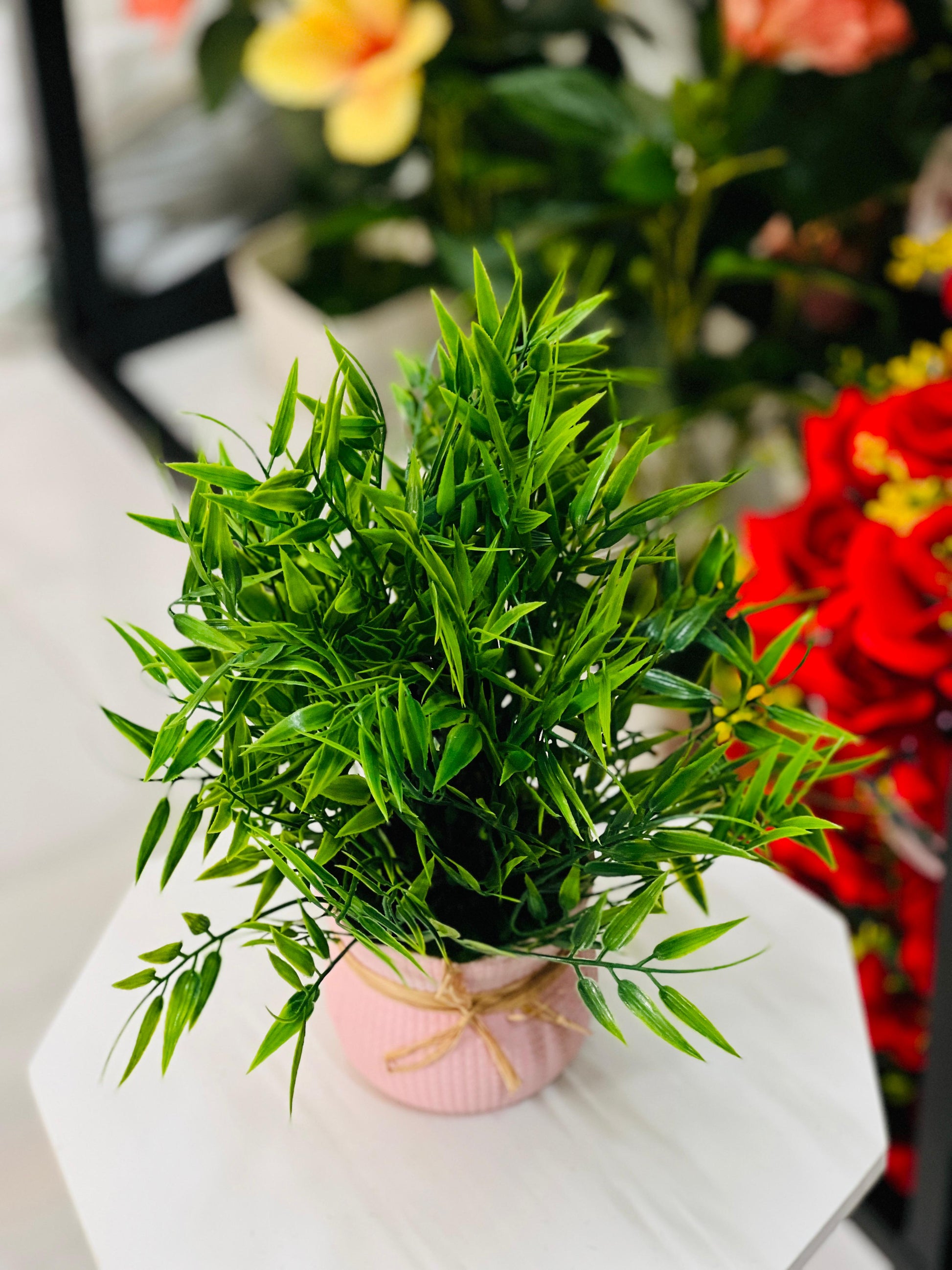 Small potted plant on a white surface with flowers in the background