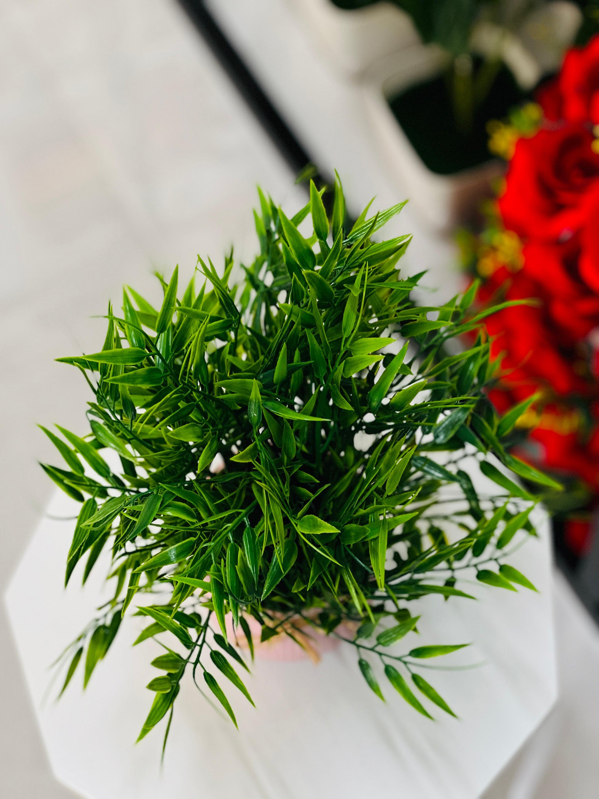 Green potted plant on a white surface with a blurred red flower arrangement in the background