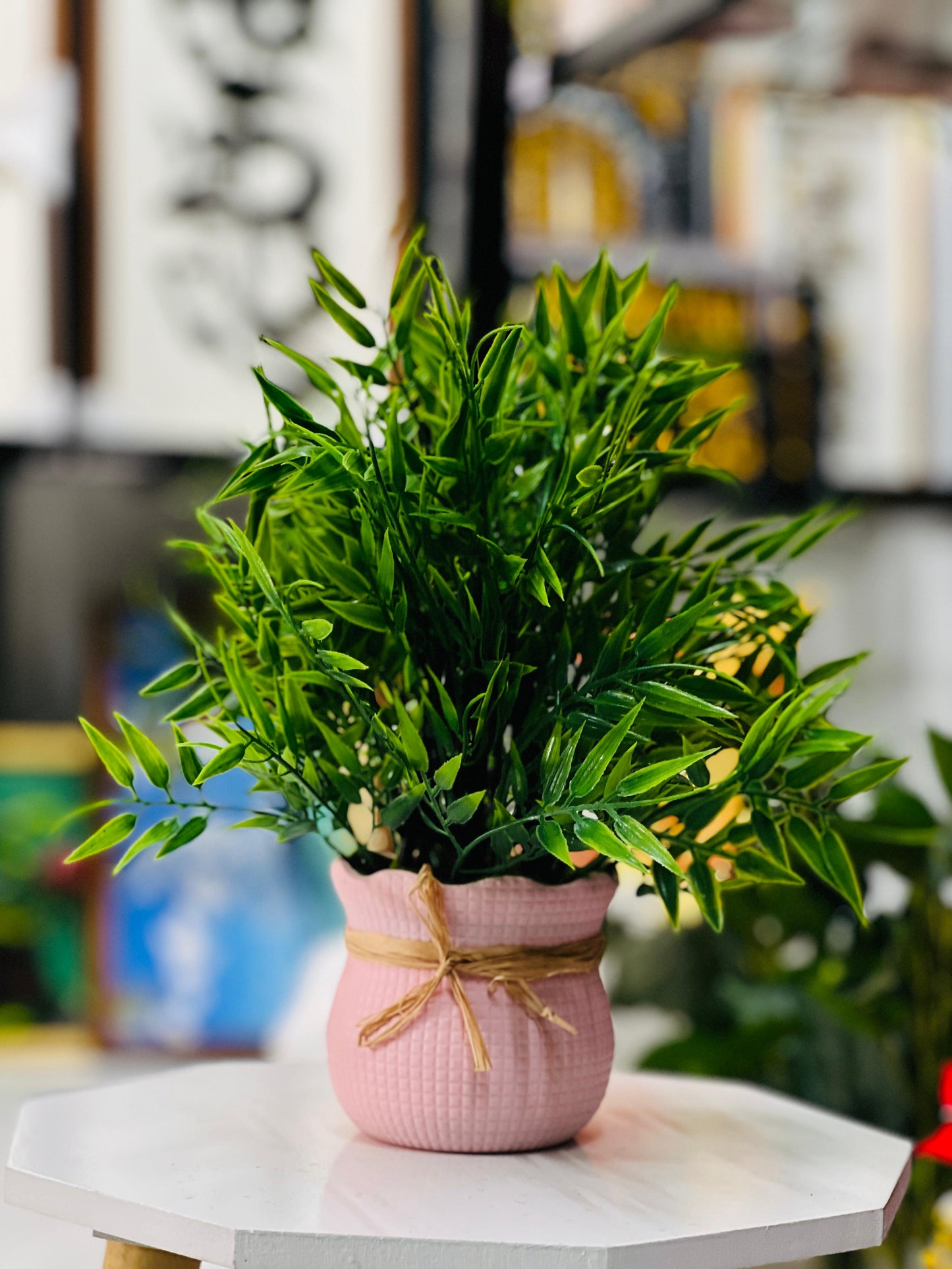 Green potted plant in a pink pot on a white surface with a blurred background