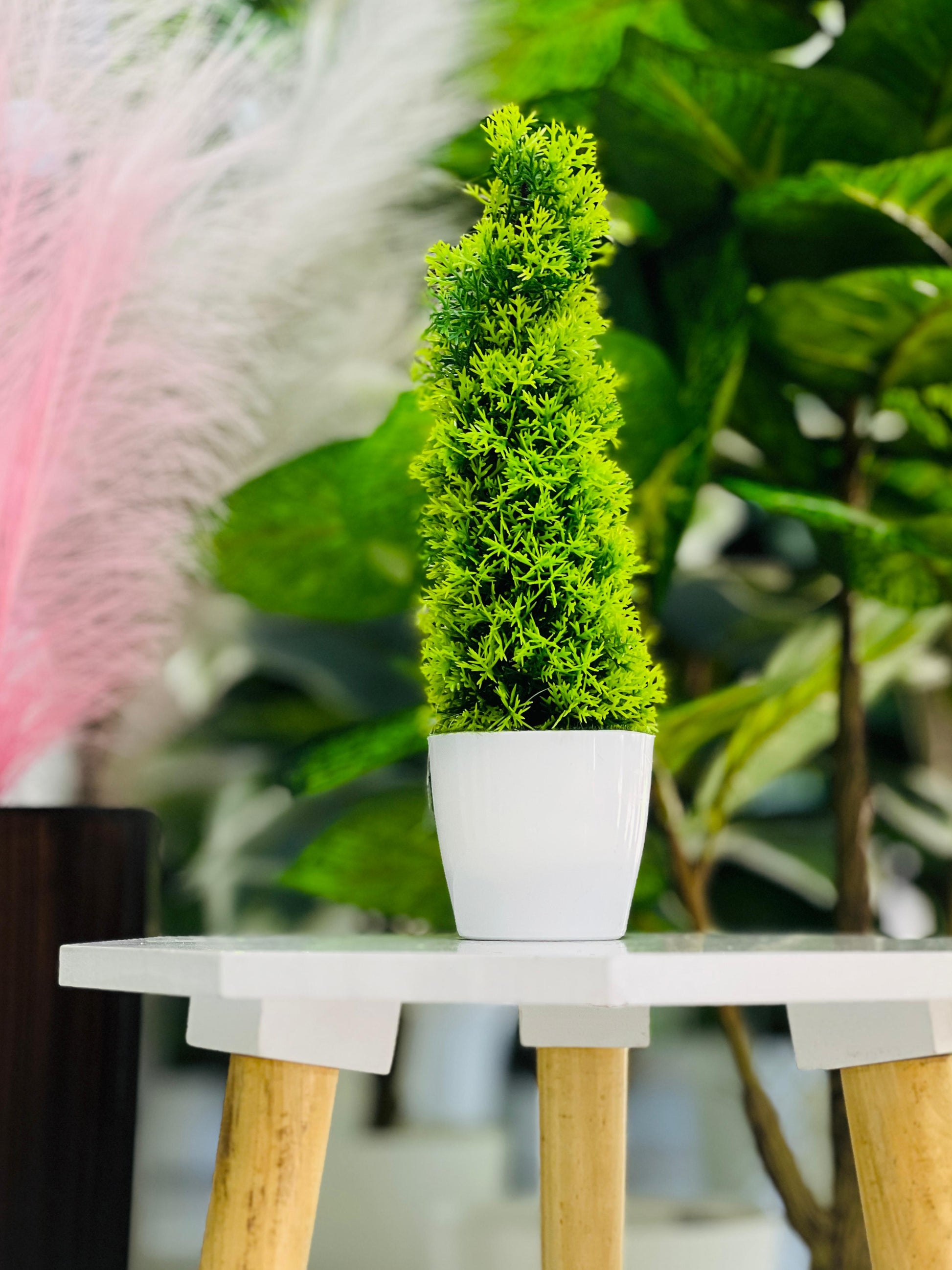 Potted plant on a small table with blurred greenery in the background