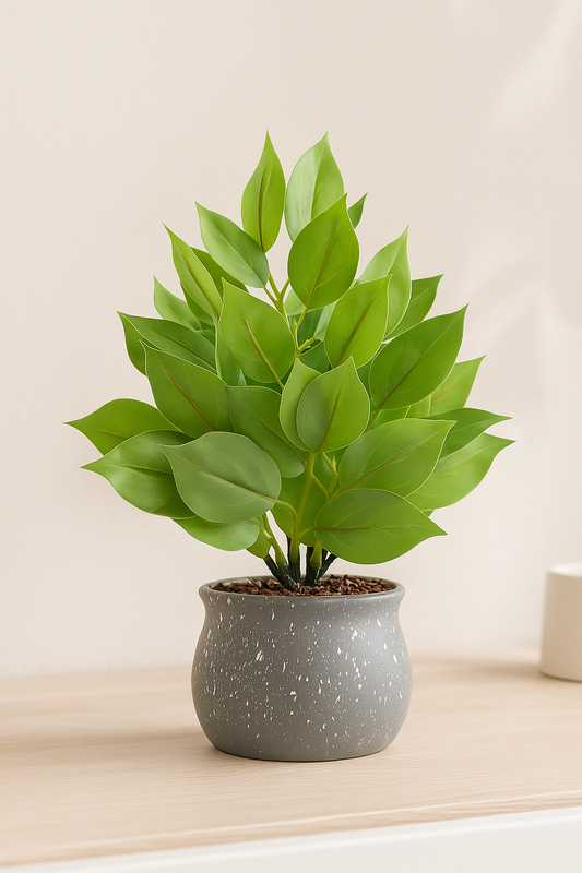 Potted plant on a wooden surface with a plain background
