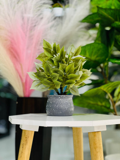 Small potted plant on a white table with a blurred background