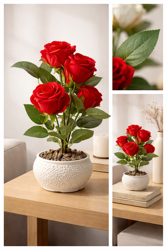 Red roses in a white pot on a wooden table with close-up inset.