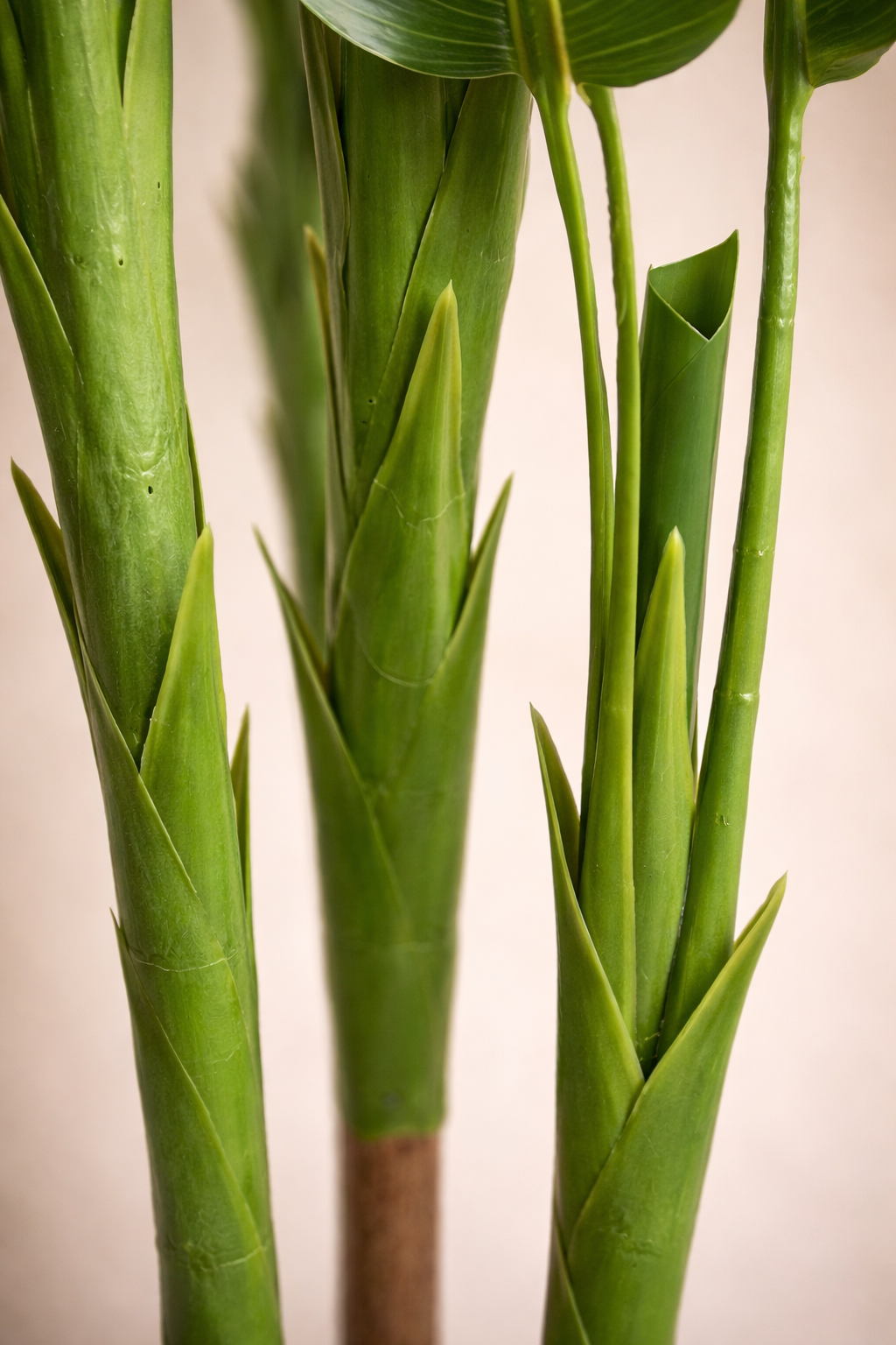Artificial travelers plant 6 feet