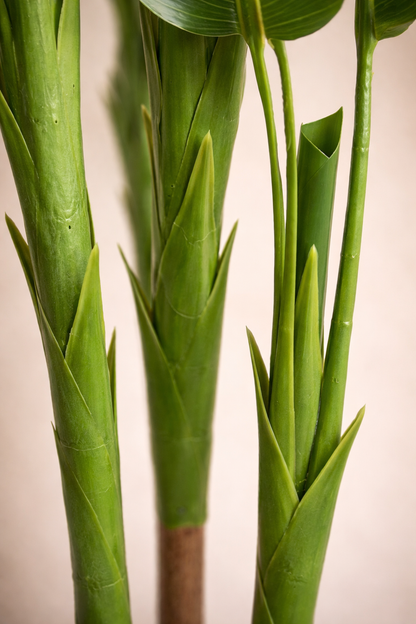 Artificial travelers plant 6 feet