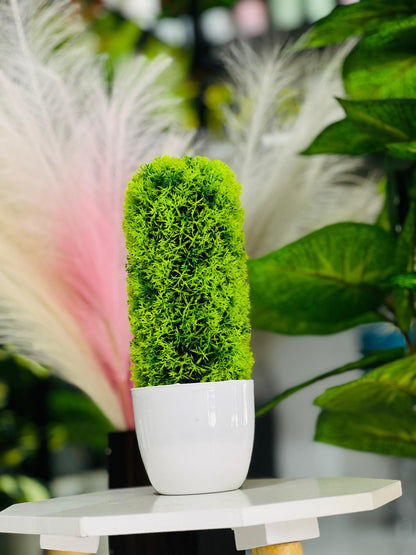Artificial Mini Cypress Topiary – 25 cm