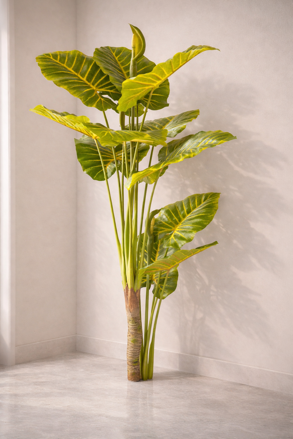 Artificial Alocasia Plant 5.8 Feet