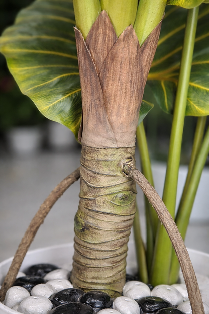 Artificial Alocasia Plant 5.8 Feet