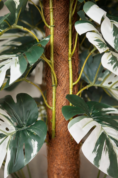 Artificial Variegated Monestra Plant 3.5 Feet