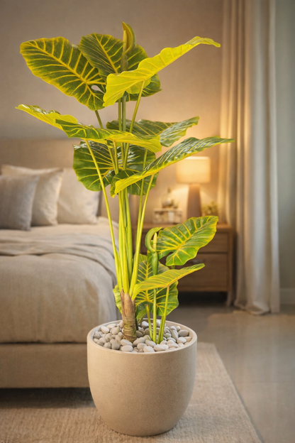 Artificial Alocasia Plant 5.8 Feet