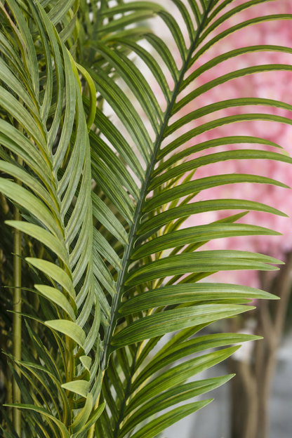 Artificial Areca Palm Plant 5.5 Feet