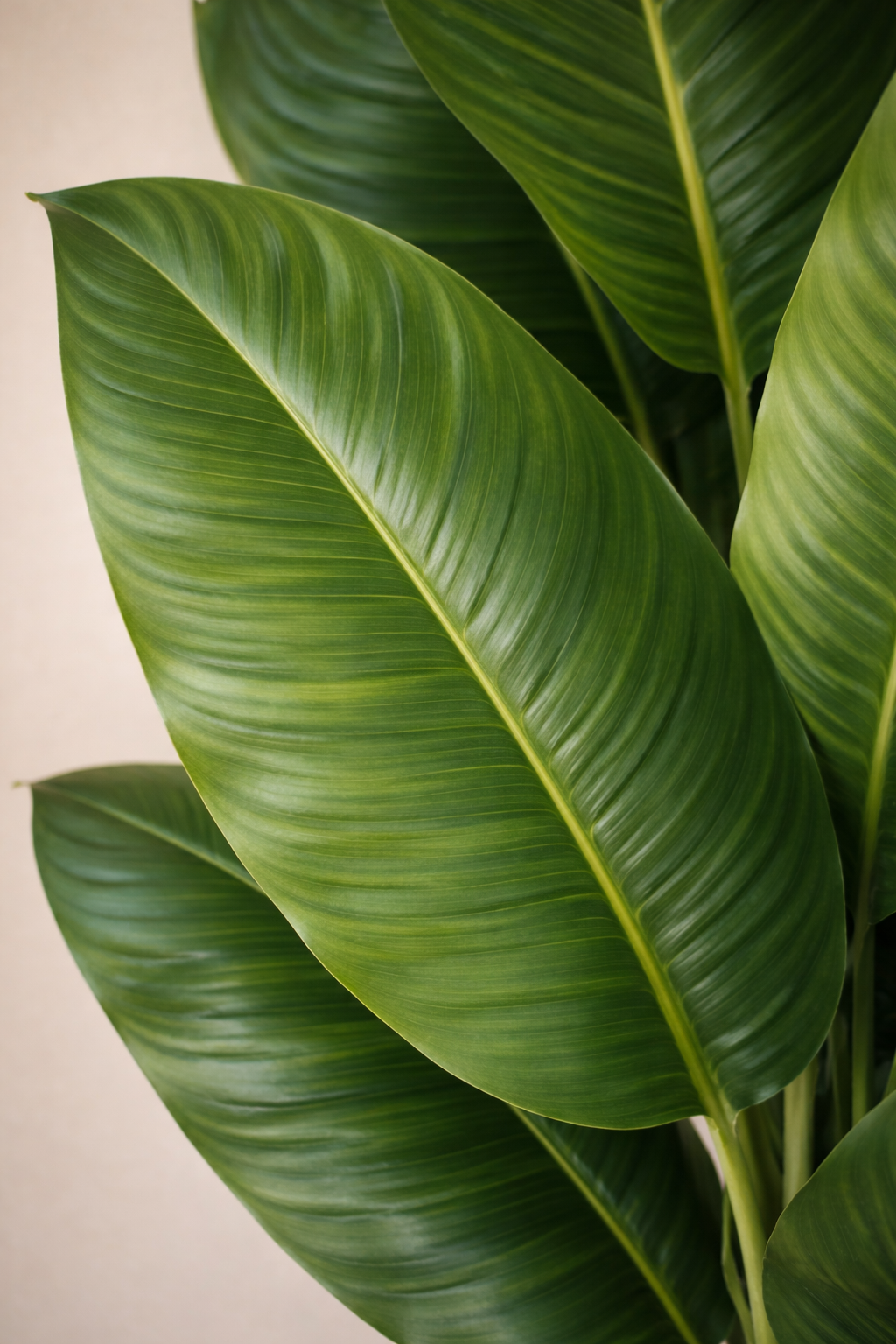 Artificial Banana Plant 4.5 Feet