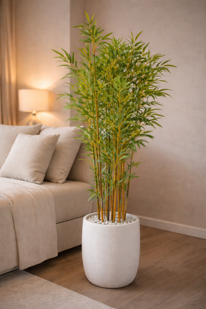 Potted plant in a living room setting with a beige sofa and lamp.