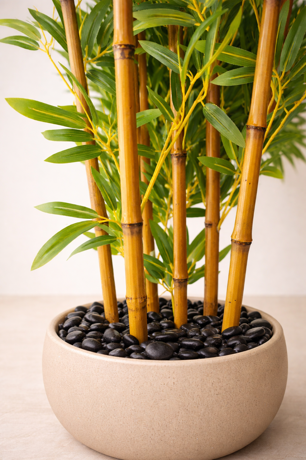 Potted bamboo plant with black pebbles in a beige pot on a light background