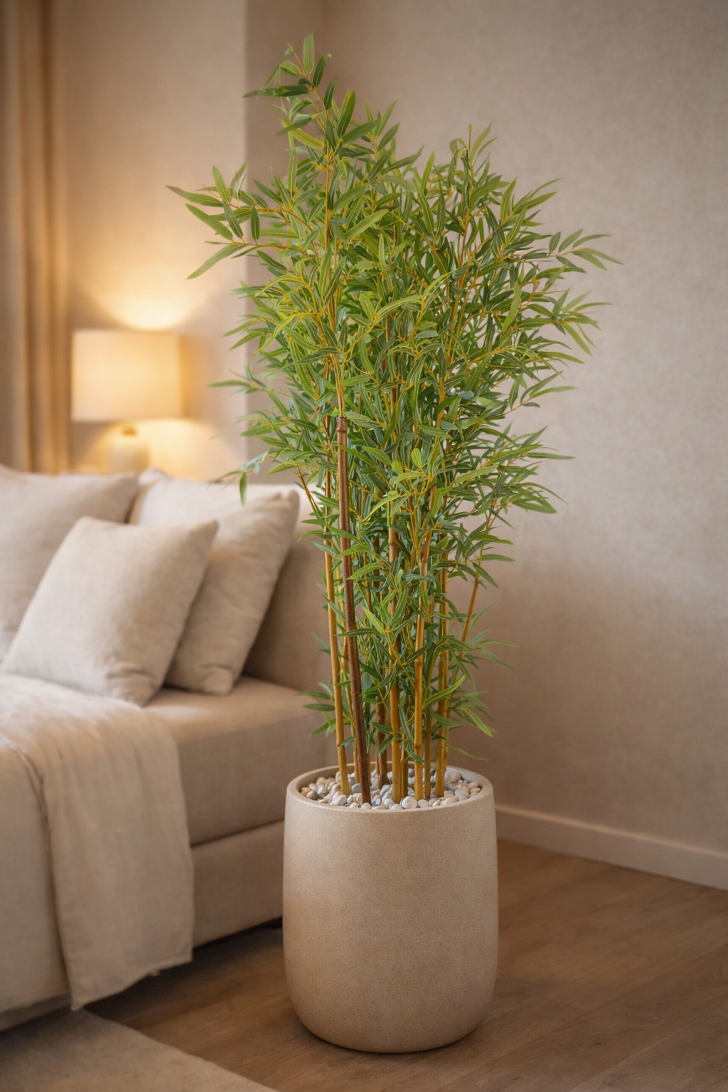 Potted bamboo plant in a living room setting with a beige sofa and lamp.